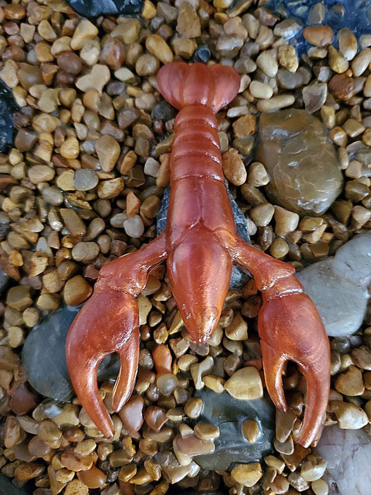 3.5 Yabbie color Series One - Etsy