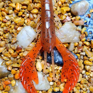 May include: A red and brown crawfish-shaped soft plastic fishing lure with black speckles. The lure is on a bed of small rocks.