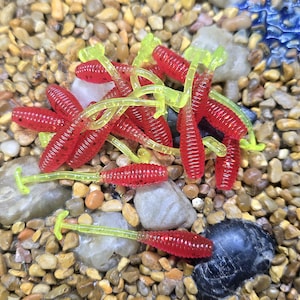 2" Crappie Thumper (Core Shot)