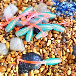 May include: A close-up of a pile of pink and blue fishing lures. The lures are made of soft plastic and have a ribbed texture. They are lying on a bed of small, brown rocks.