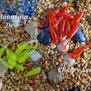 2&quot; Sac-a-lait Minner (Color Series Two) (Crappie Jig)