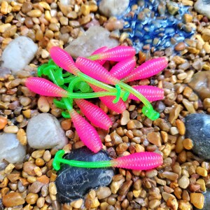 May include: A group of pink and green fishing lures with a worm shape. The lures are scattered on a bed of small brown rocks.