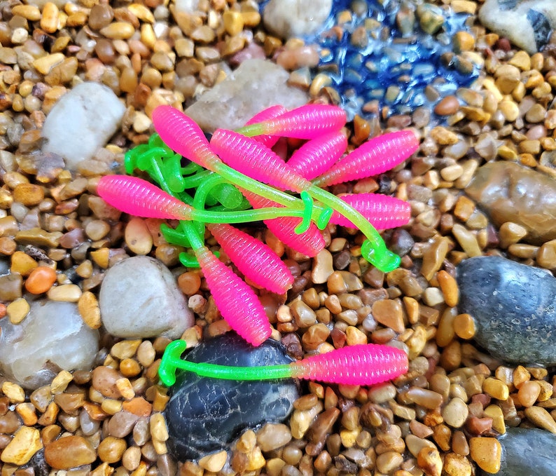 May include: A group of pink and green fishing lures with a worm shape. The lures are scattered on a bed of small brown rocks.