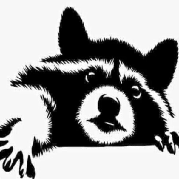 Raccoon Decal | Vinyl Car Decal | Window Decal | Laptop Decal | Vinyl Sticker