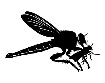 Dragonfly Catching an Insect Decal | Vinyl Car Decal | Window Decal | Laptop Decal | Vinyl Sticker