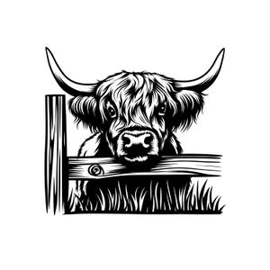 Personalsed Hghland Cow Water Bottle - Etsy - View #6
