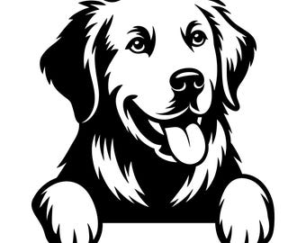 Peeking Golden Retriever Decal | Vinyl Car Decal | Window Decal | Laptop Decal | Vinyl Sticker