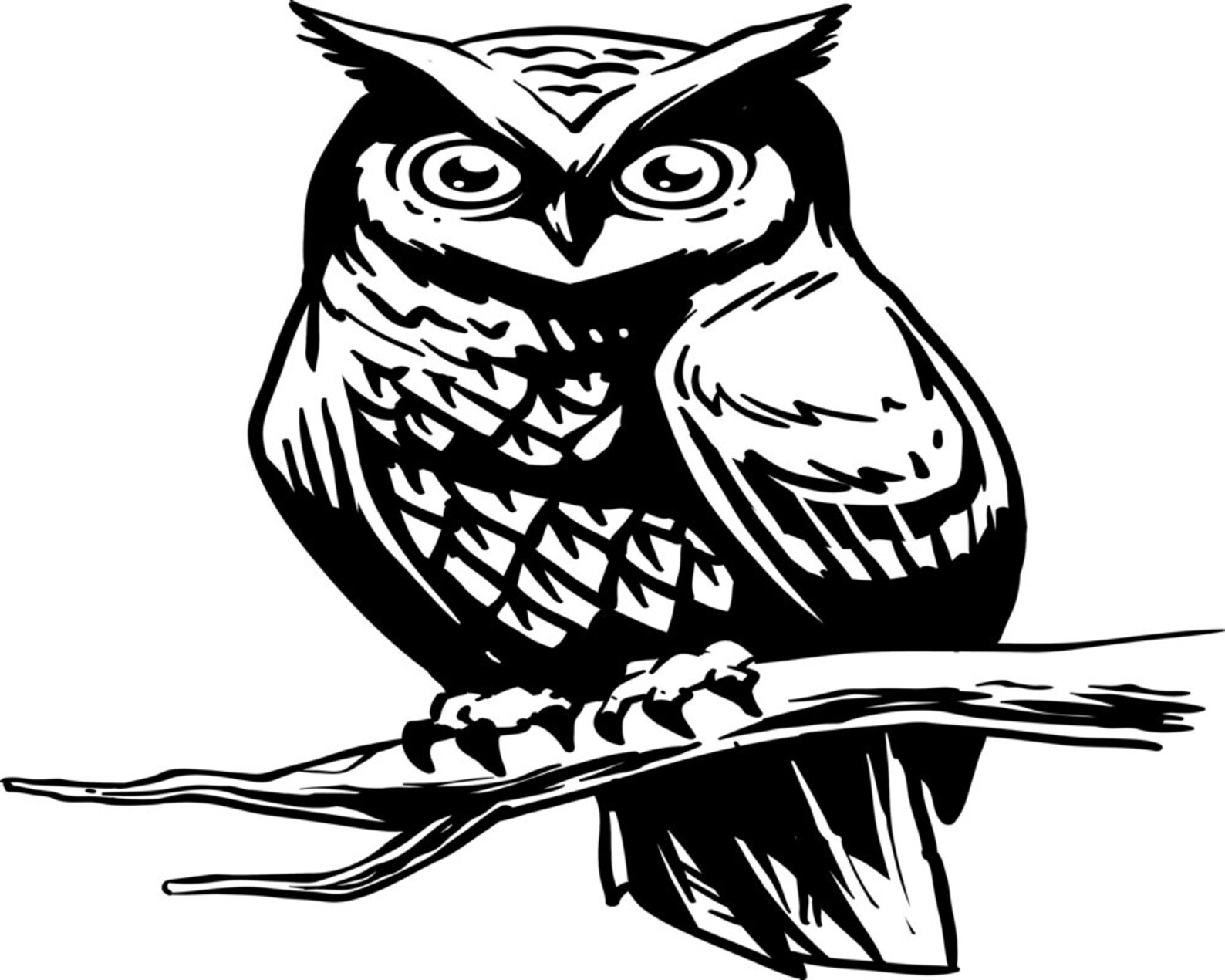 Owl Decal Vinyl Car Decal Window Decal Laptop Decal Etsy