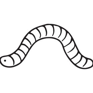 Worm Decal | Vinyl Car Decal | Window Decal | Laptop Decal | Vinyl Sticker