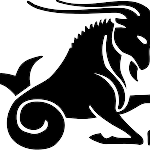 Capricorn Zodiac Decal | Vinyl Car Decal | Window Decal | Laptop Decal | Vinyl Sticker