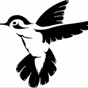 Hummingbird Decal | Vinyl Car Decal | Window Decal | Laptop Decal | Vinyl Sticker