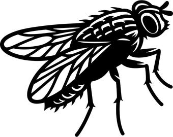 Fly Decal | Vinyl Car Decal | Window Decal | Laptop Decal | Vinyl Sticker
