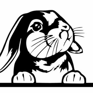 Bunny Peeker Decal | Vinyl Car Decal | Window Decal | Laptop Decal | Vinyl Sticker