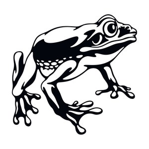 Frog Decal | Vinyl Car Decal | Window Decal | Laptop Decal | Vinyl Sticker