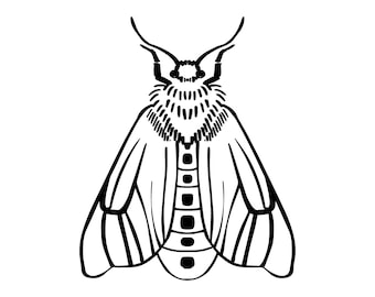 Moth Decal | Vinyl Car Decal | Window Decal | Laptop Decal | Vinyl Sticker