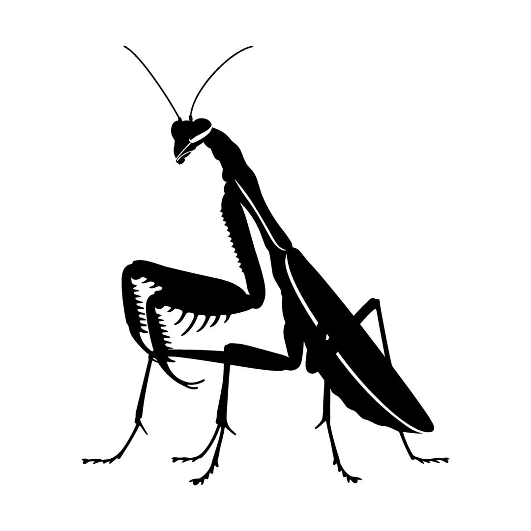 Praying Mantis Decal | Vinyl Car Decal | Window Decal | Laptop Decal ...