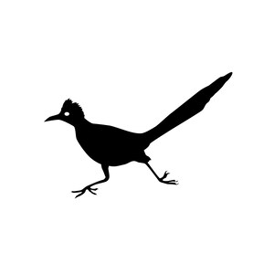 May include: A black silhouette of a roadrunner bird in mid-stride, with its long tail extended. The bird's head is detailed with a crest and a pointed beak, set against a clean white background. The image is a simple, graphic representation.