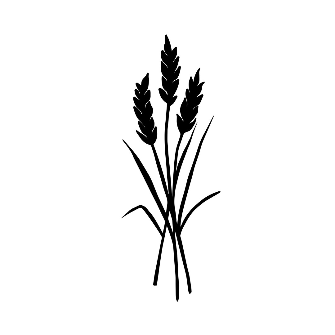 Wheat Decal | Vinyl Car Decal | Window Decal | Laptop Decal | Vinyl ...