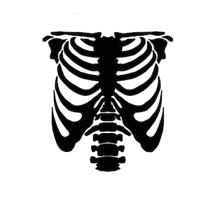 Rib Cage Decal | Vinyl Car Decal | Window Decal | Laptop Decal | Vinyl Sticker