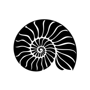 May include: A black and white illustration of a nautilus shell. The shell is depicted in a spiral pattern, with a series of curved lines radiating from the center. The design is simple and elegant, suitable for various applications.