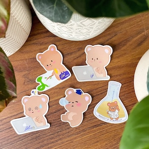 University Bear-eotypes | California Bear | Waterproof | Die Cut Sticker | College Student [LIMITED EDITION]
