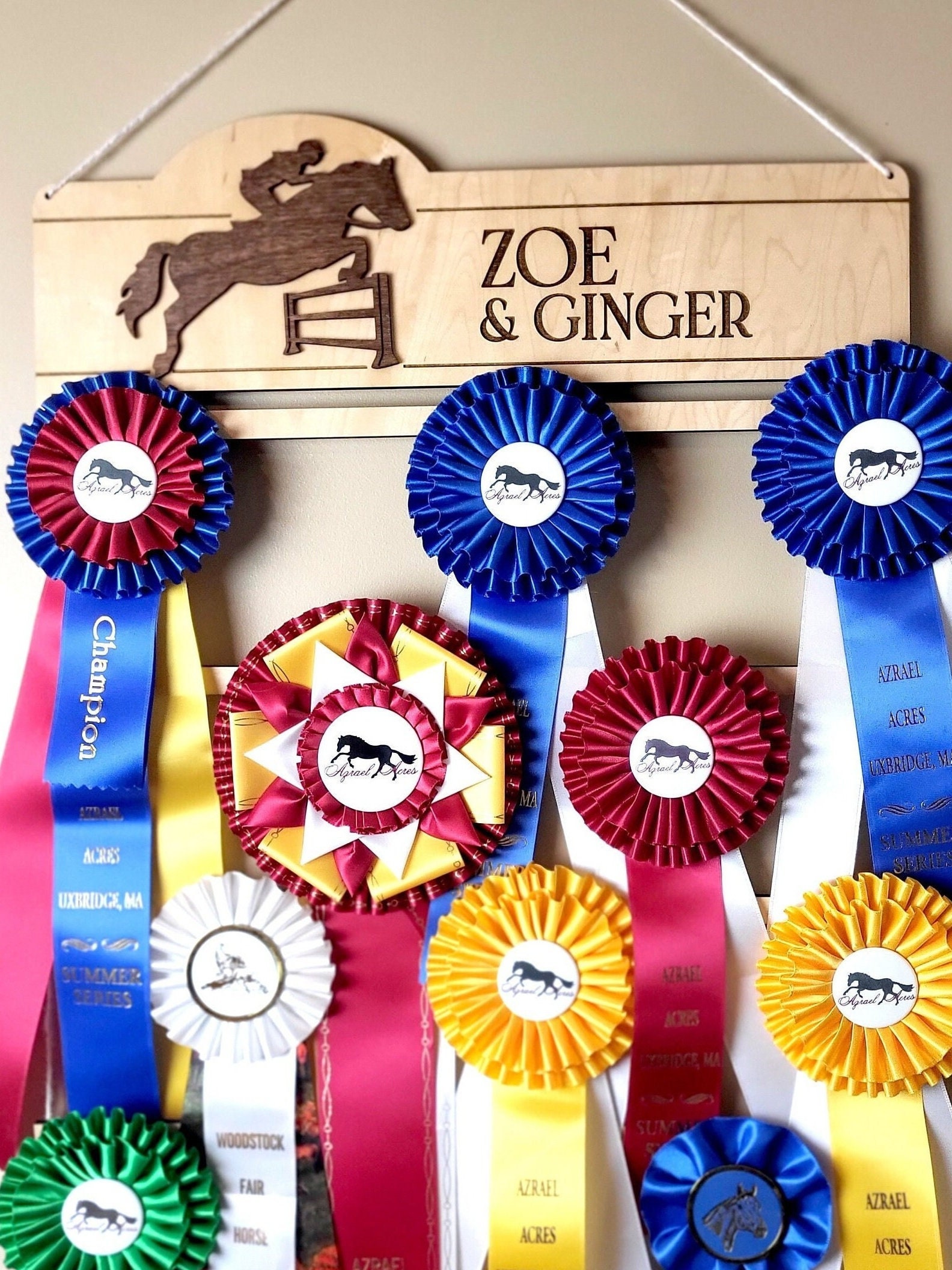 Custom Horse Show Ribbon Holder, Ribbon Display, Equestrian Ribbon Wall Hanging, Awards Holder