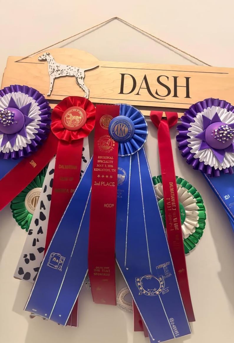 Personalized Dog Show Ribbon Holder: Engraved Wall Hanging Display image 3