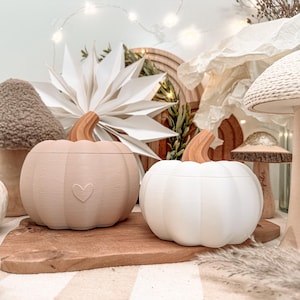 May include: Two decorative pumpkin-shaped containers with removable lids and brown stems. The left pumpkin is a light beige color with a small heart embossed on the front, while the right pumpkin is solid white. Both feature a smooth, rounded finish.