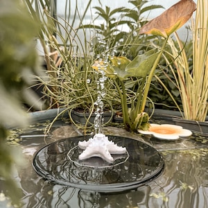 Könnte beinhalten: Ein weißer, sternförmiger Solar-Wasserbrunnen, der auf einer runden schwarzen Platte in einem Teich schwimmt. Der Brunnen sprüht einen vertikalen Strahl aus Wassertropfen in die Luft. Das Gerät ist von verschiedenen grünen Wasserpflanzen umgeben.