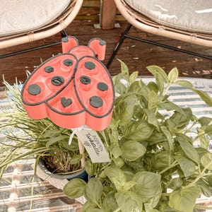 File di stampa 3D STL+3MF + modello di stampa PDF inclusa licenza commerciale - coccinella - abbeveratoio per insetti - fiore - api - insetti - abbeveratoio