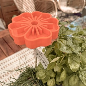 Puede incluir: Un marcador de plantas naranja con forma de flor con el texto "Kleiner Blumengruß" en una pequeña etiqueta. El marcador se coloca en una maceta de albahaca y cebollino, con una mesa de madera al fondo.