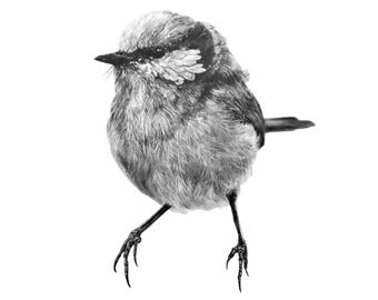 Hand-Drawn Blue Wren Removable Fabric Wall Decal