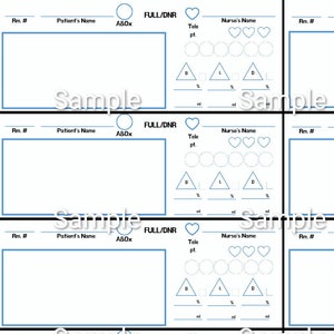 Digital Print - CNA, PCA, PCT, Nursing Assistant/Aide Patient Report Sheet, Tech Brain - 8 Patient Horizontal Sheet