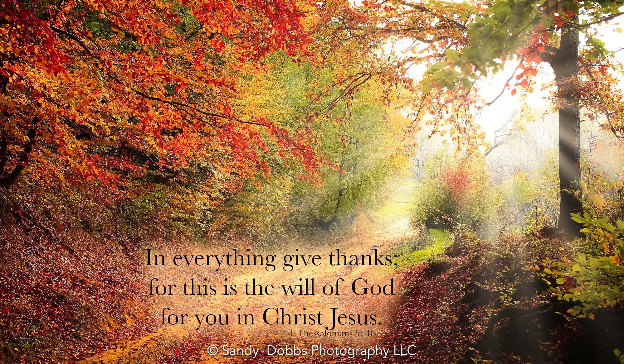 1 Thessalonians 5:18, in Everything Give Thanks, Inspirational Canvas Wall  Art Prints, Christian Home Decor, Scripture on Autumn Landscape - Etsy