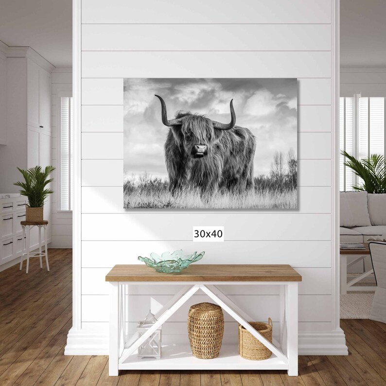 Highland Cow Canvas, Highland Cow Black and White Print, Scottish Cow
