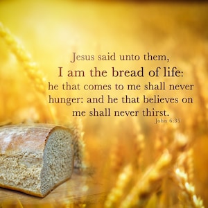 Op de afbeelding: Een brood ligt in een tarweveld met een gouden gloed. De tekst "Jezus zei tegen hen: Ik ben het brood des levens. Wie naar mij komt, zal nooit honger lijden, en wie in mij gelooft, zal nooit dorst hebben. Johannes 6:35" is over de afbeelding gelegd.