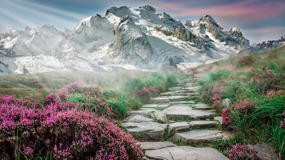 絵画 Mountain Landscape Snowcapped Mountain Canvas Print: Floral Meadow Landscape Wall Art