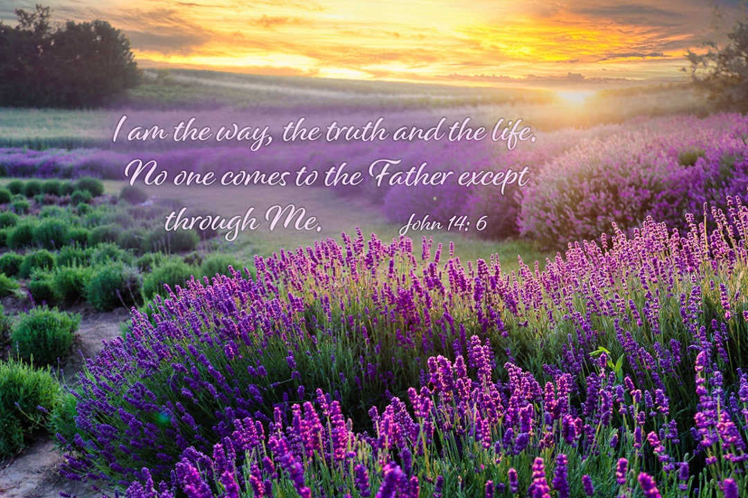 John 14 6 inspirational canvas wall art prints lavender fields