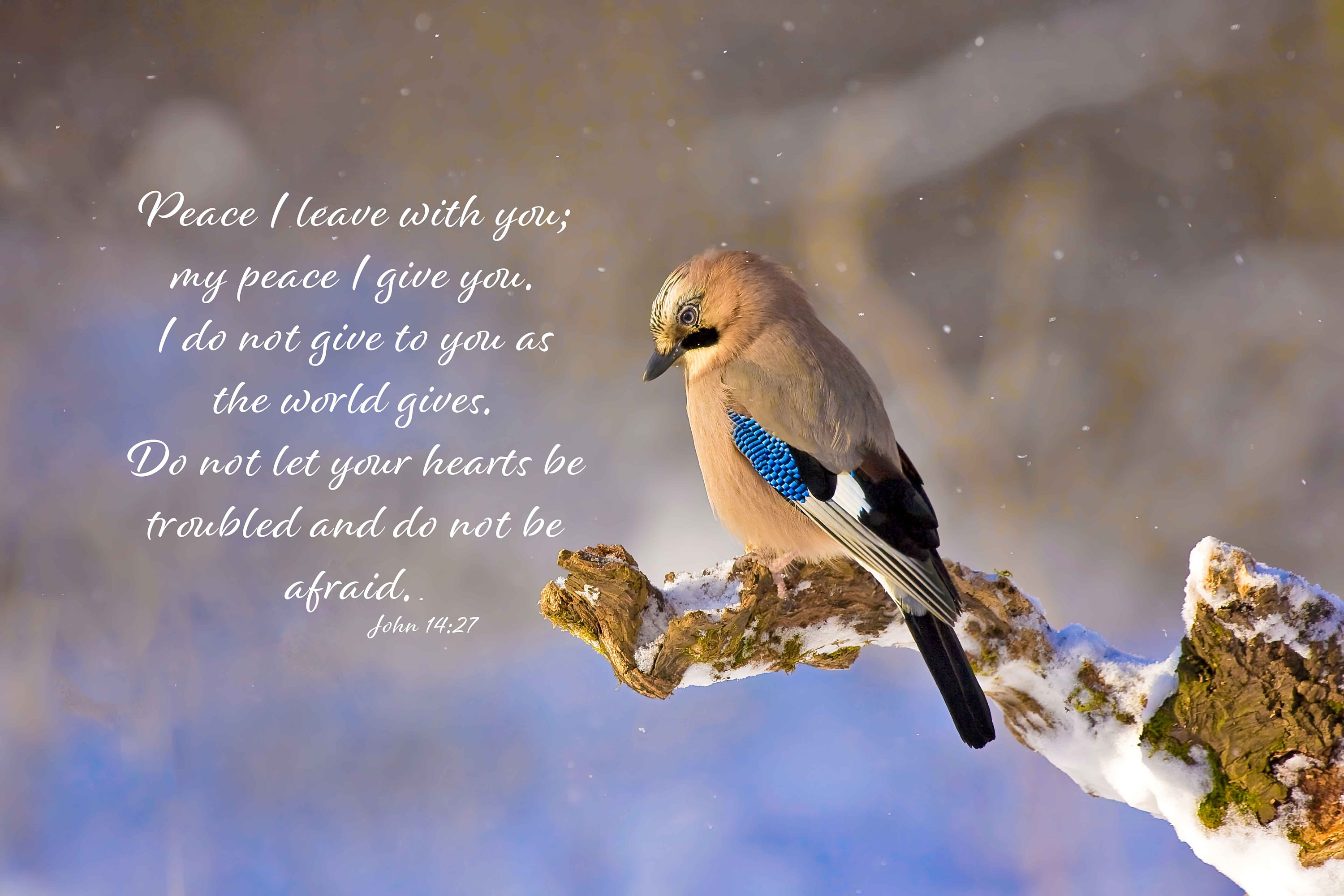 John 14:27 Wall Art, Peace I Leave With You, Inspirational Canvas Wall Art Prints, Christian Religious Decor for Home