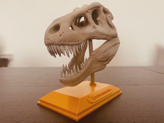 T-Rex Dinosaur Skull Decor