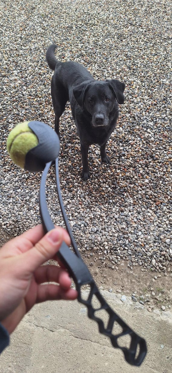 Dog Ball Thrower Fetch Toy thumbnail 3