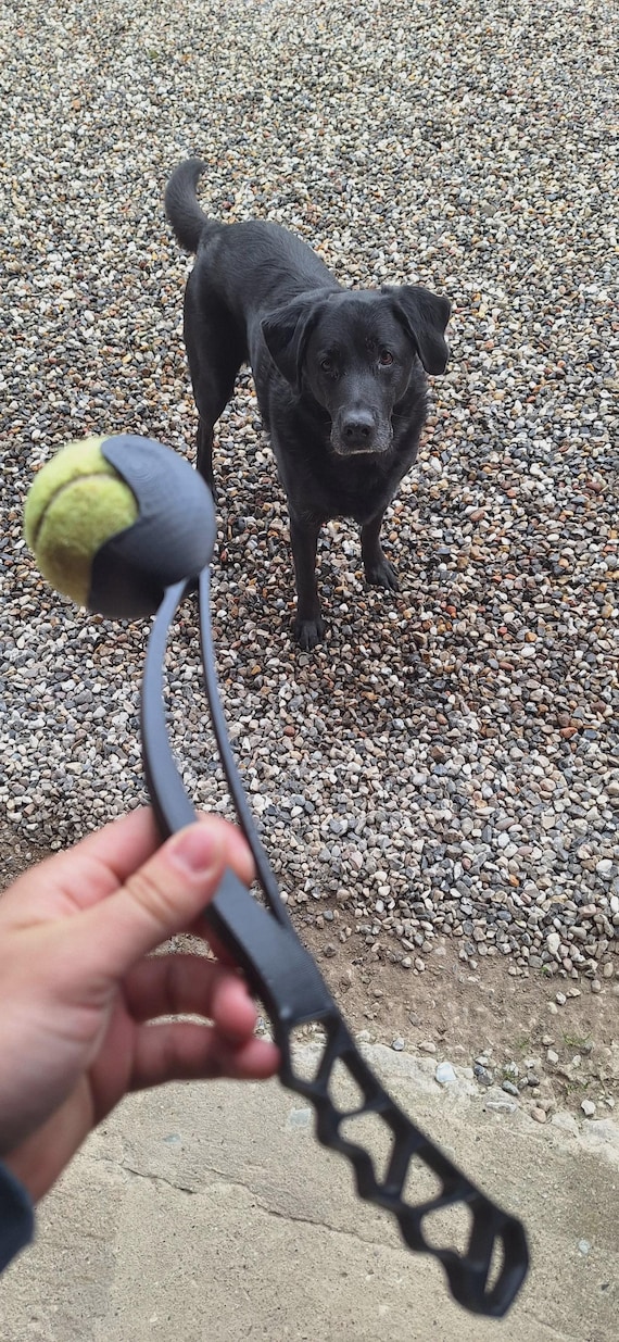 Essential Dog Ball Thrower thumbnail 3