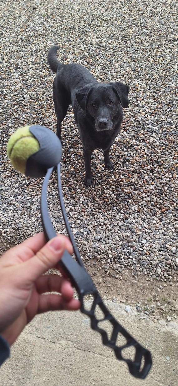 Dog Fetch Ball Launcher, Flexible 3D Printed Toy (Long Distance Toss) thumbnail 3