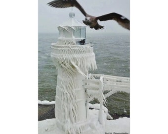Canvas Wall Art Vertical, Not Full Wrap, Hawk And Frozen Lightouse, Ready To Hang, Canvas Art, Canvas Wall Art Nature