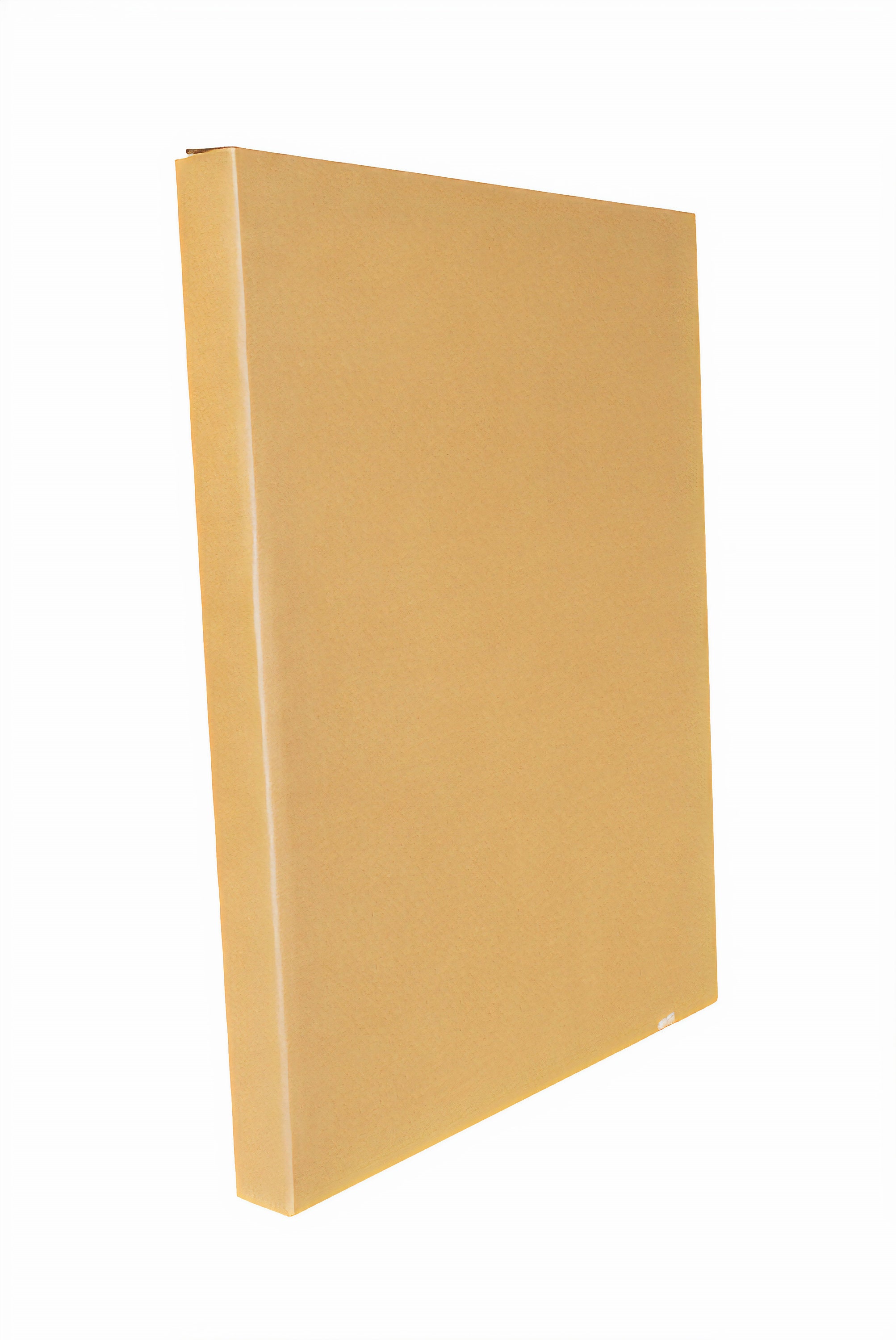 Canvas Wall Art, Not Full Wrap, Fire in the Sky, Ready to Hang, Canvas