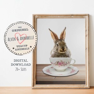 Teacup Bunny Countertop Rabbit Print, Nursery Wall Art, Woodland Decor, Printable Art, Digital Download, Forest Animal, Vintage Cup