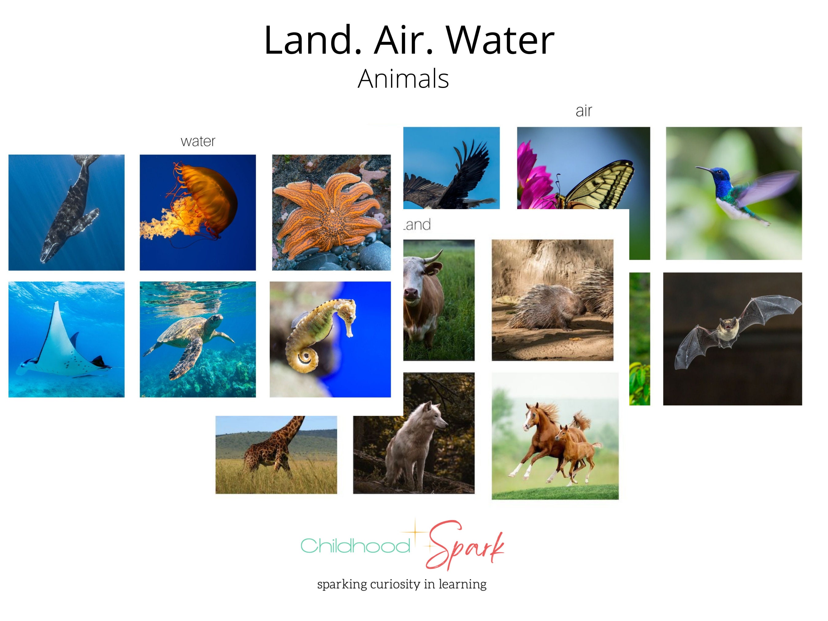 Buy Land. Air. Water Montessori Cards Online in India - Etsy Buy Land. Air. Water Montessori Cards Online in India - Etsy