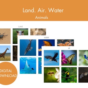 Land. Lucht. Watermontessorikaarten (dieren)