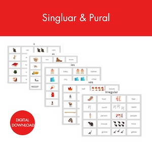 Puede incluir: Cinco hojas de trabajo imprimibles para aprender los sustantivos en singular y plural. Cada hoja de trabajo presenta una regla diferente para hacer los sustantivos plurales, incluyendo la adición de 's', 'es', 'ies', 'ves' y formas irregulares. Las hojas de trabajo incluyen imágenes de objetos y animales comunes.