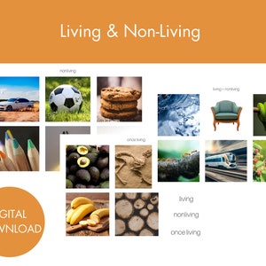 Living & Non Living | Montessori Geography Printable